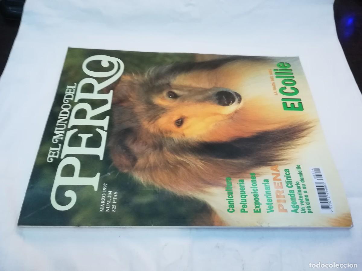 Libros de segunda mano: EL MUNDO DEL PERRO / R006 / 204 DE 1997 / EL COLLIE - Foto 1