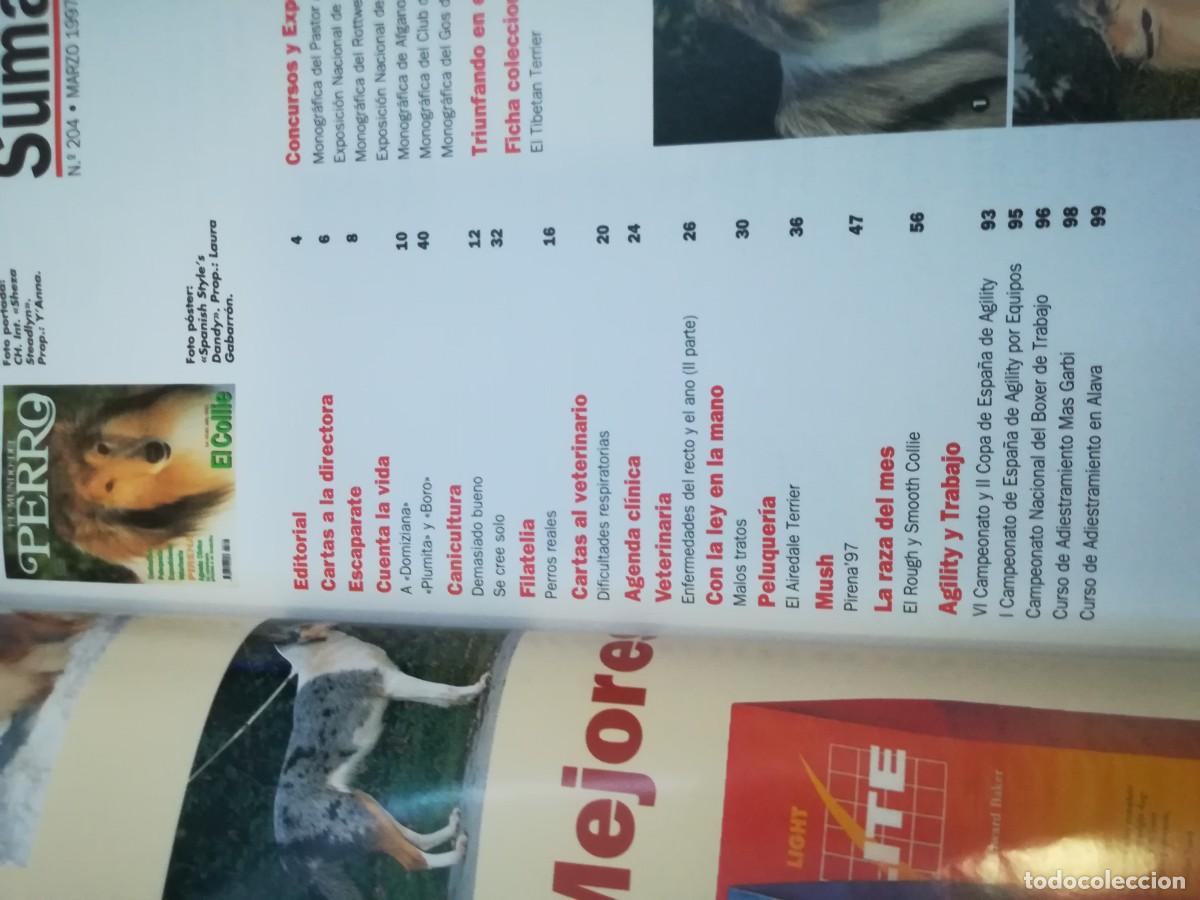 Libros de segunda mano: EL MUNDO DEL PERRO / R006 / 204 DE 1997 / EL COLLIE - Foto 4