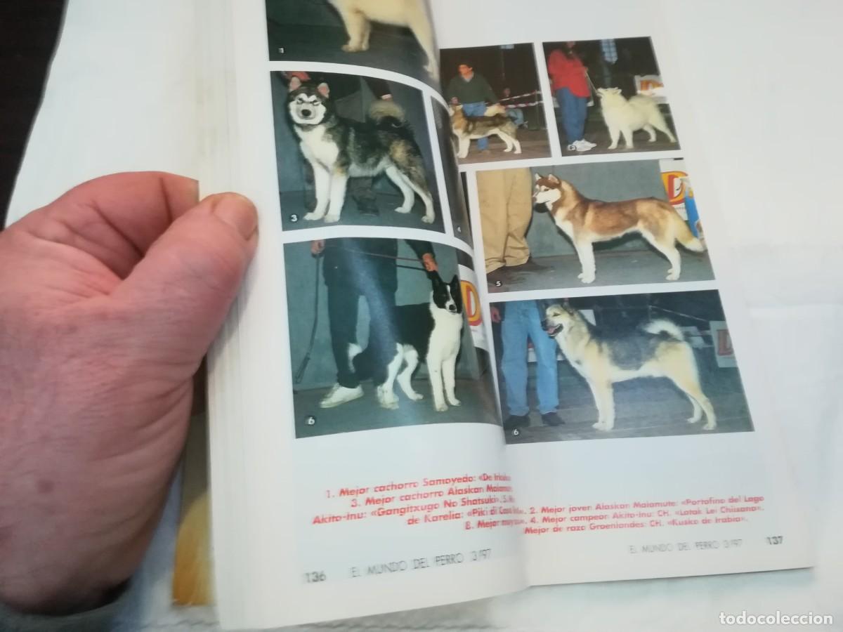 Libros de segunda mano: EL MUNDO DEL PERRO / R006 / 204 DE 1997 / EL COLLIE - Foto 7