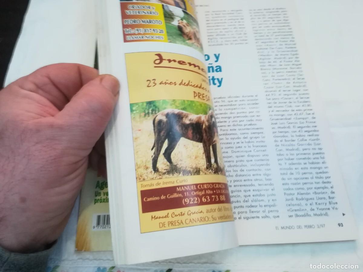 Libros de segunda mano: EL MUNDO DEL PERRO / R006 / 204 DE 1997 / EL COLLIE - Foto 8