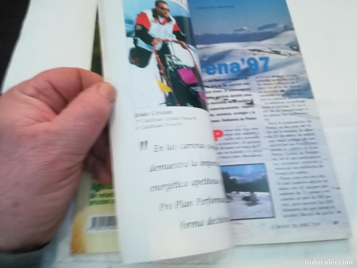 Libros de segunda mano: EL MUNDO DEL PERRO / R006 / 204 DE 1997 / EL COLLIE - Foto 10