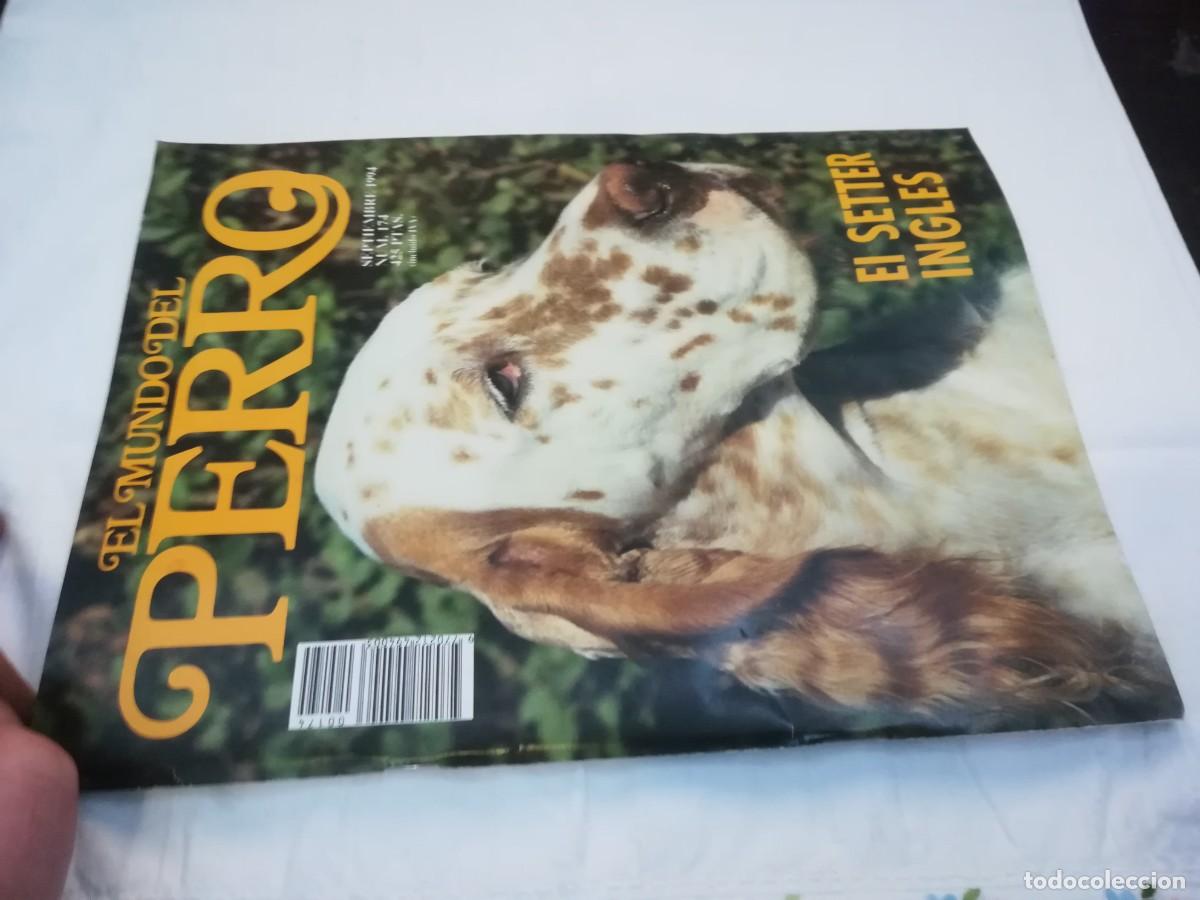 Libros de segunda mano: EL MUNDO DEL PERRO / R006 / 174 DE 1994 / EL SETTER INGLES - Foto 1