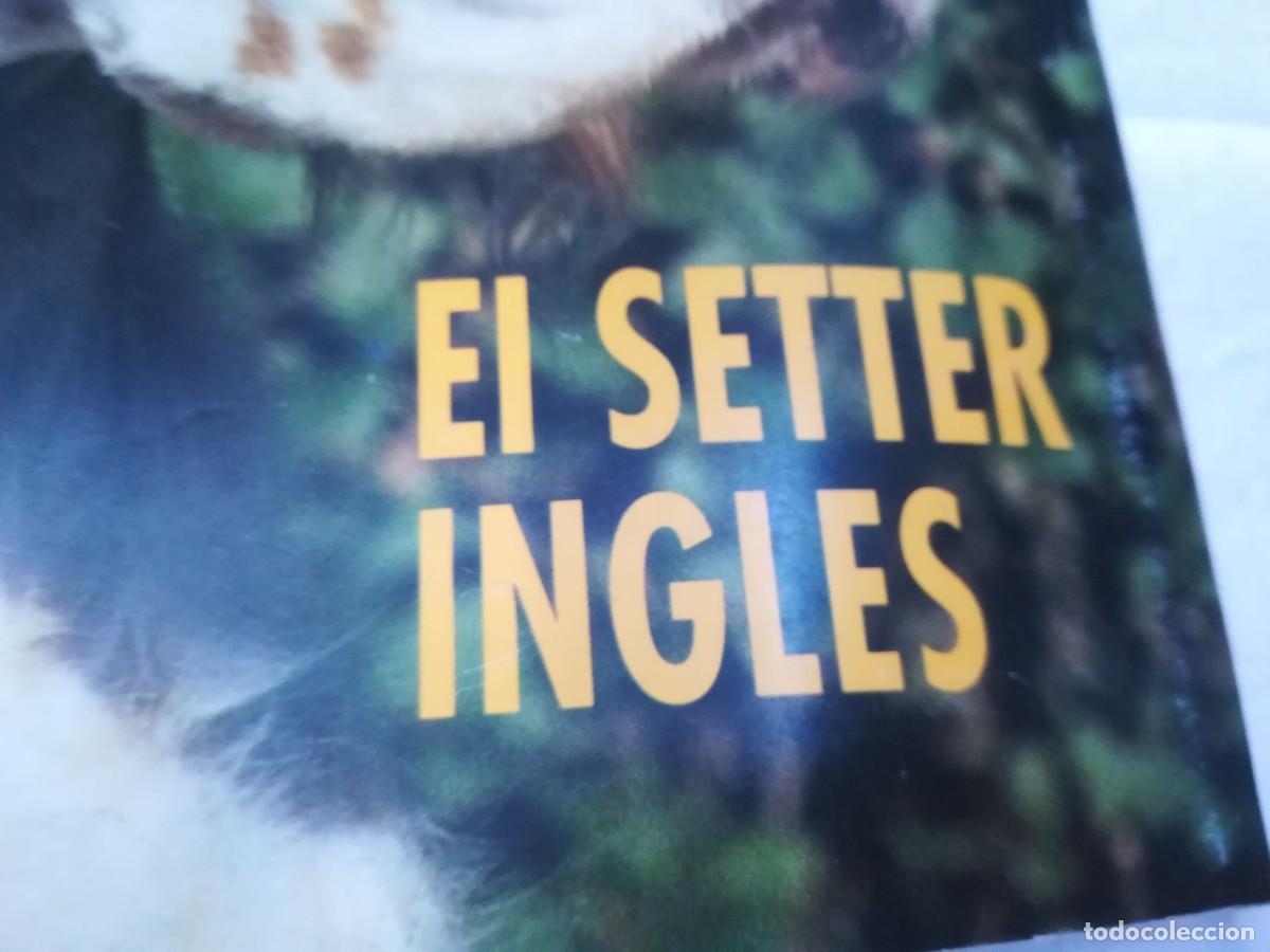 Libros de segunda mano: EL MUNDO DEL PERRO / R006 / 174 DE 1994 / EL SETTER INGLES - Foto 2