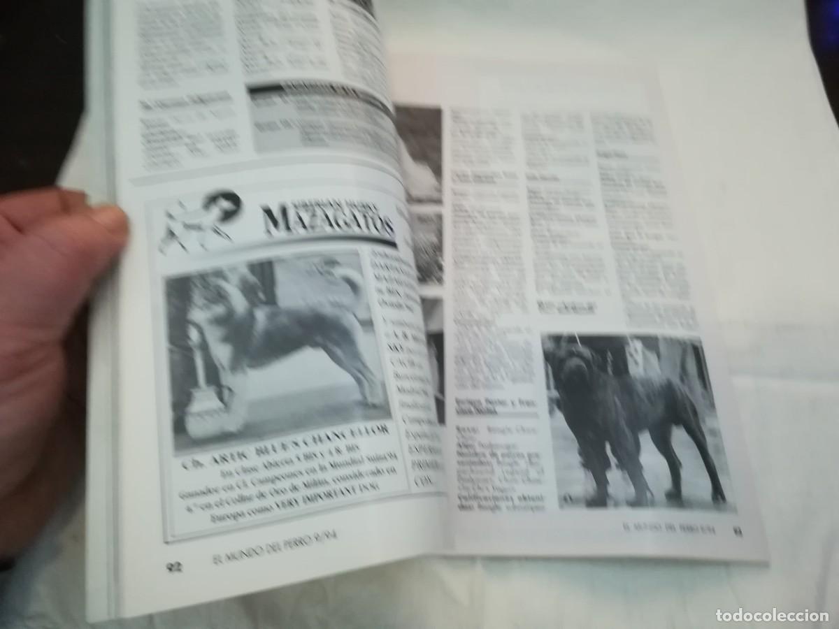 Libros de segunda mano: EL MUNDO DEL PERRO / R006 / 174 DE 1994 / EL SETTER INGLES - Foto 5