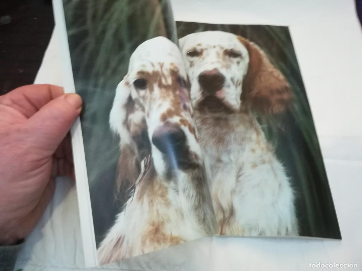 Libros de segunda mano: EL MUNDO DEL PERRO / R006 / 174 DE 1994 / EL SETTER INGLES - Foto 6