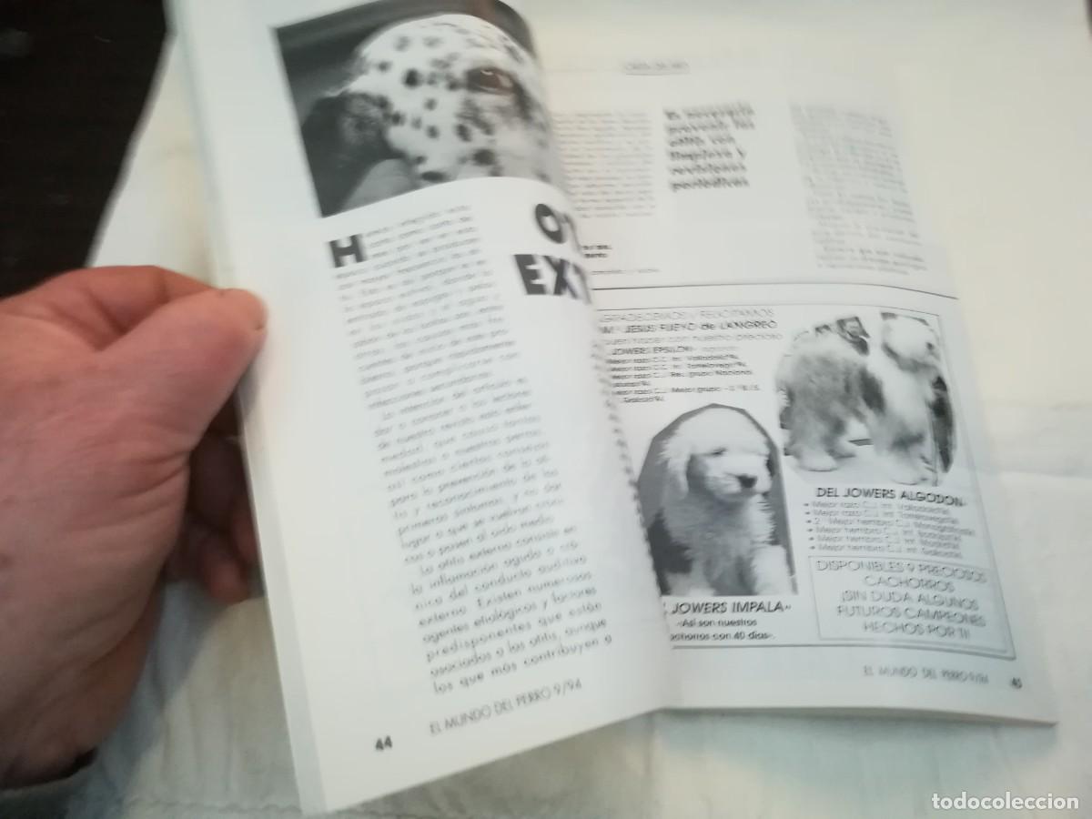 Libros de segunda mano: EL MUNDO DEL PERRO / R006 / 174 DE 1994 / EL SETTER INGLES - Foto 7