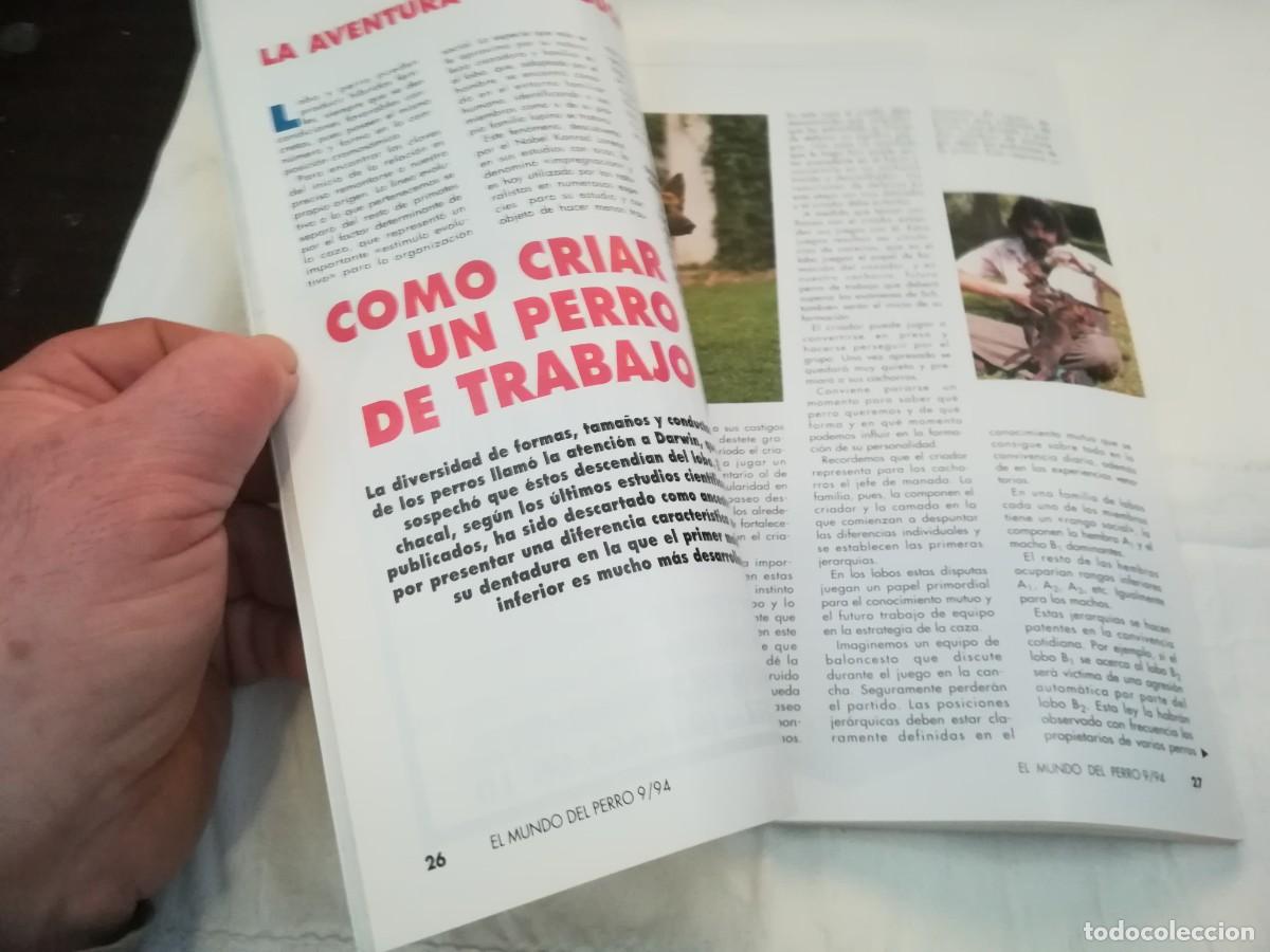 Libros de segunda mano: EL MUNDO DEL PERRO / R006 / 174 DE 1994 / EL SETTER INGLES - Foto 8