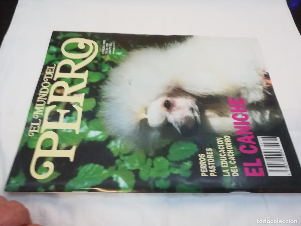 Libros de segunda mano: EL MUNDO DEL PERRO / R006 / 178 DE 1995 / EL CANICHE - Foto 1