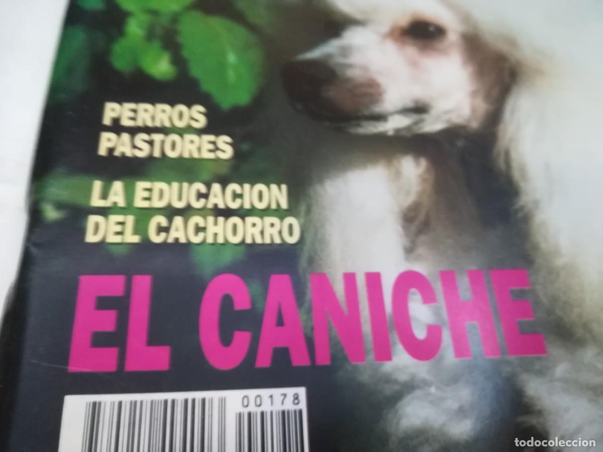 Libros de segunda mano: EL MUNDO DEL PERRO / R006 / 178 DE 1995 / EL CANICHE - Foto 2