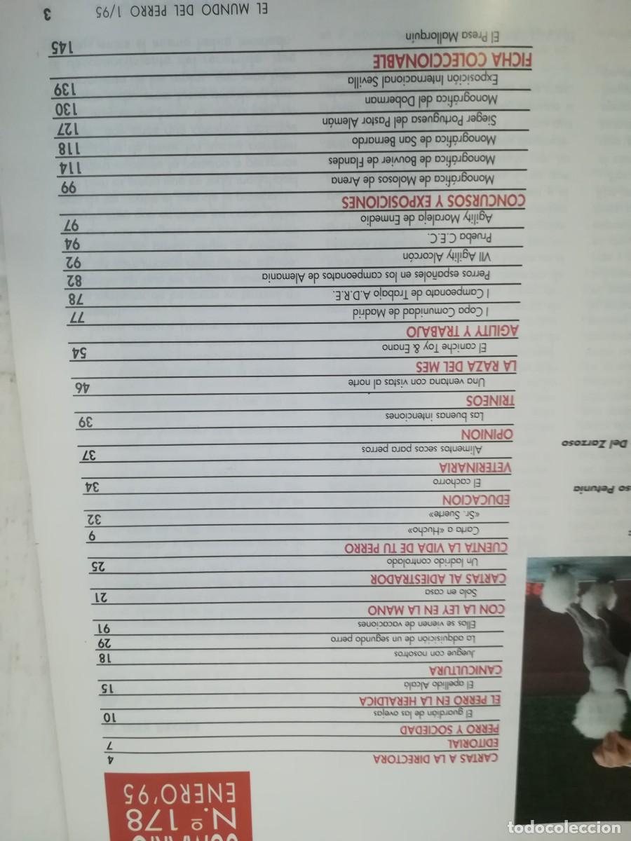 Libros de segunda mano: EL MUNDO DEL PERRO / R006 / 178 DE 1995 / EL CANICHE - Foto 4