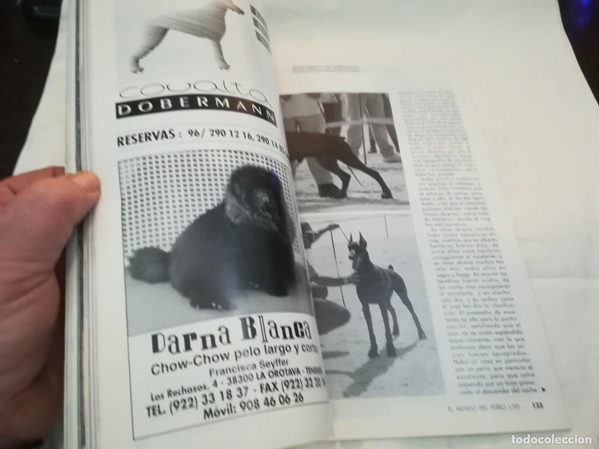 Libros de segunda mano: EL MUNDO DEL PERRO / R006 / 178 DE 1995 / EL CANICHE - Foto 5