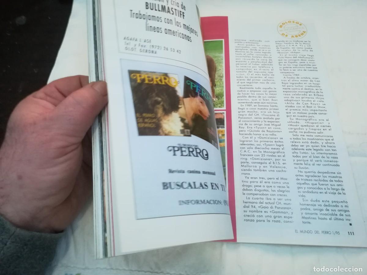 Libros de segunda mano: EL MUNDO DEL PERRO / R006 / 178 DE 1995 / EL CANICHE - Foto 6