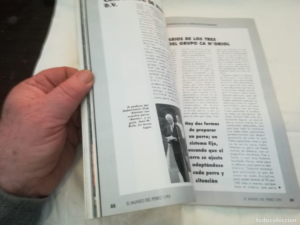 Libros de segunda mano: EL MUNDO DEL PERRO / R006 / 178 DE 1995 / EL CANICHE - Foto 7
