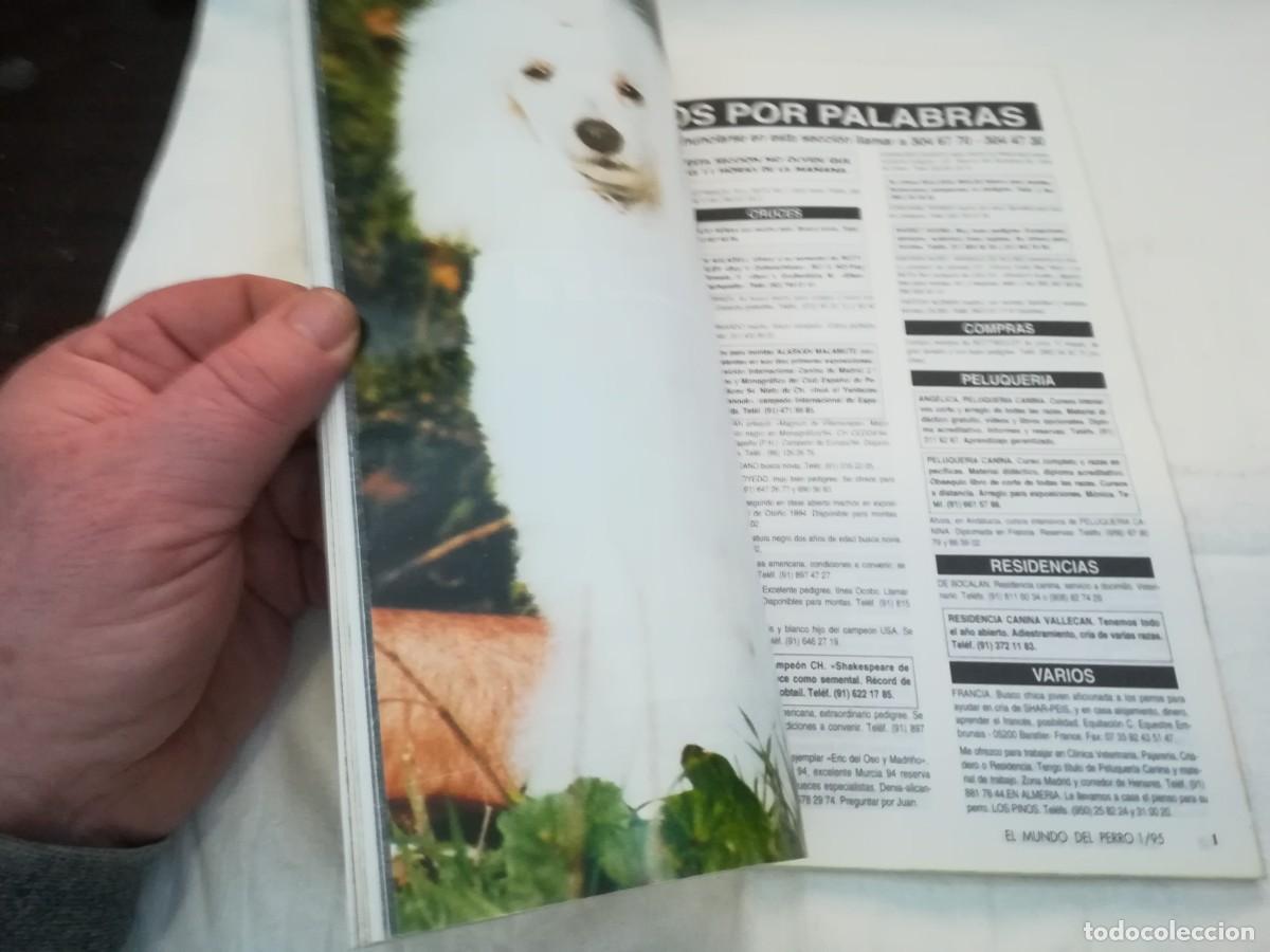 Libros de segunda mano: EL MUNDO DEL PERRO / R006 / 178 DE 1995 / EL CANICHE - Foto 8