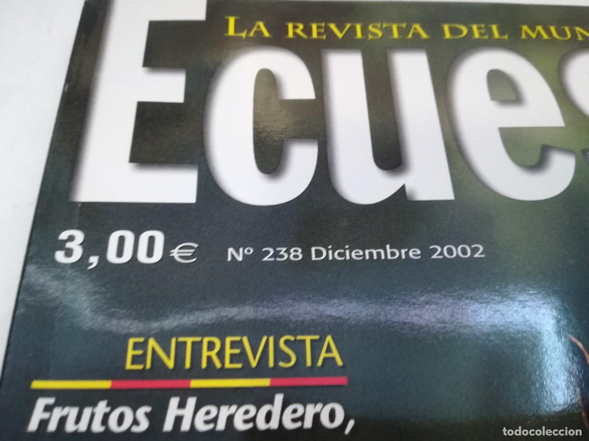 Libros de segunda mano: ECUESTRE / R006 / 238 DE 2002 / LA MONTA A PELO - Foto 2