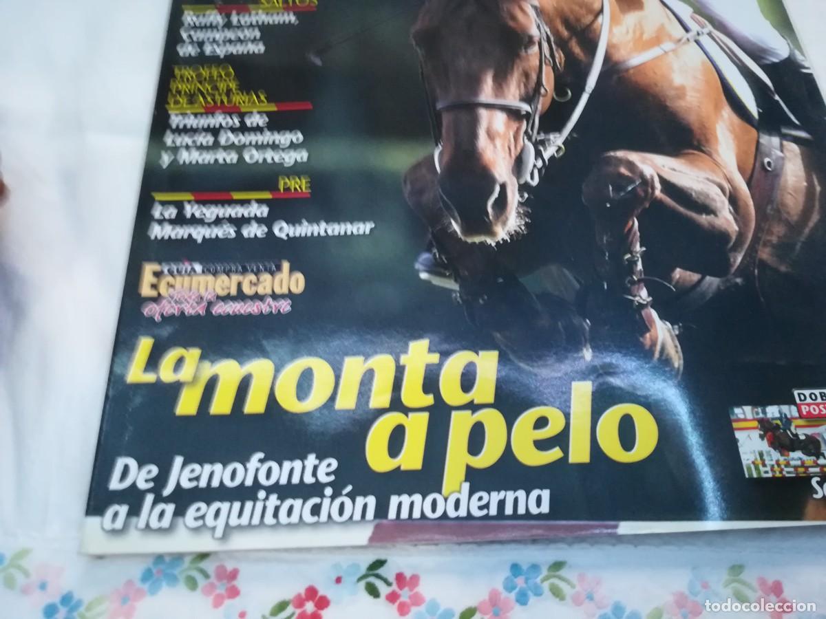 Libros de segunda mano: ECUESTRE / R006 / 238 DE 2002 / LA MONTA A PELO - Foto 3