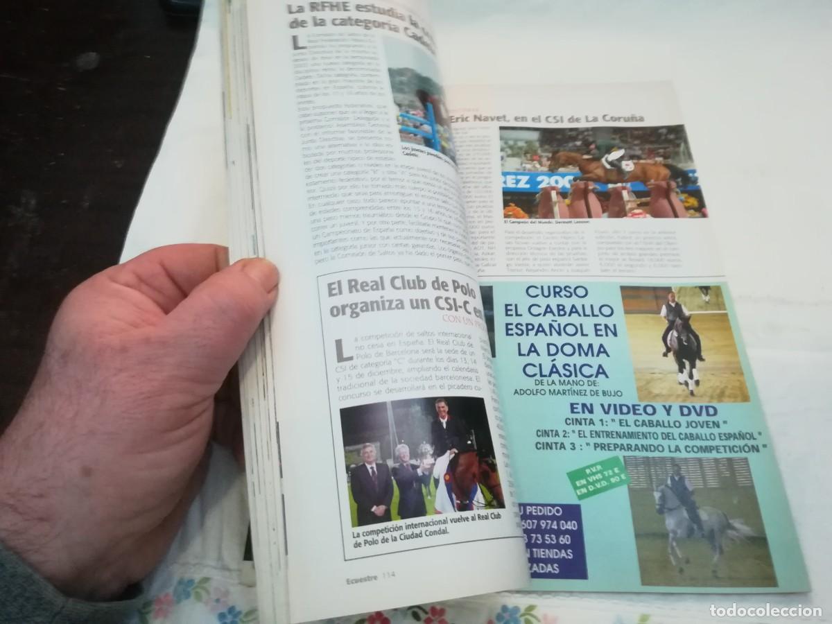 Libros de segunda mano: ECUESTRE / R006 / 238 DE 2002 / LA MONTA A PELO - Foto 6