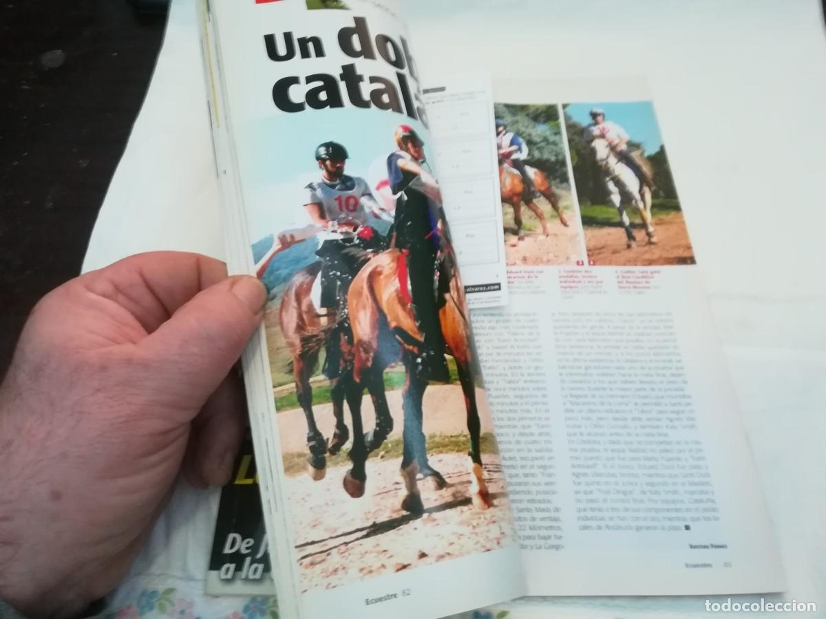Libros de segunda mano: ECUESTRE / R006 / 238 DE 2002 / LA MONTA A PELO - Foto 7