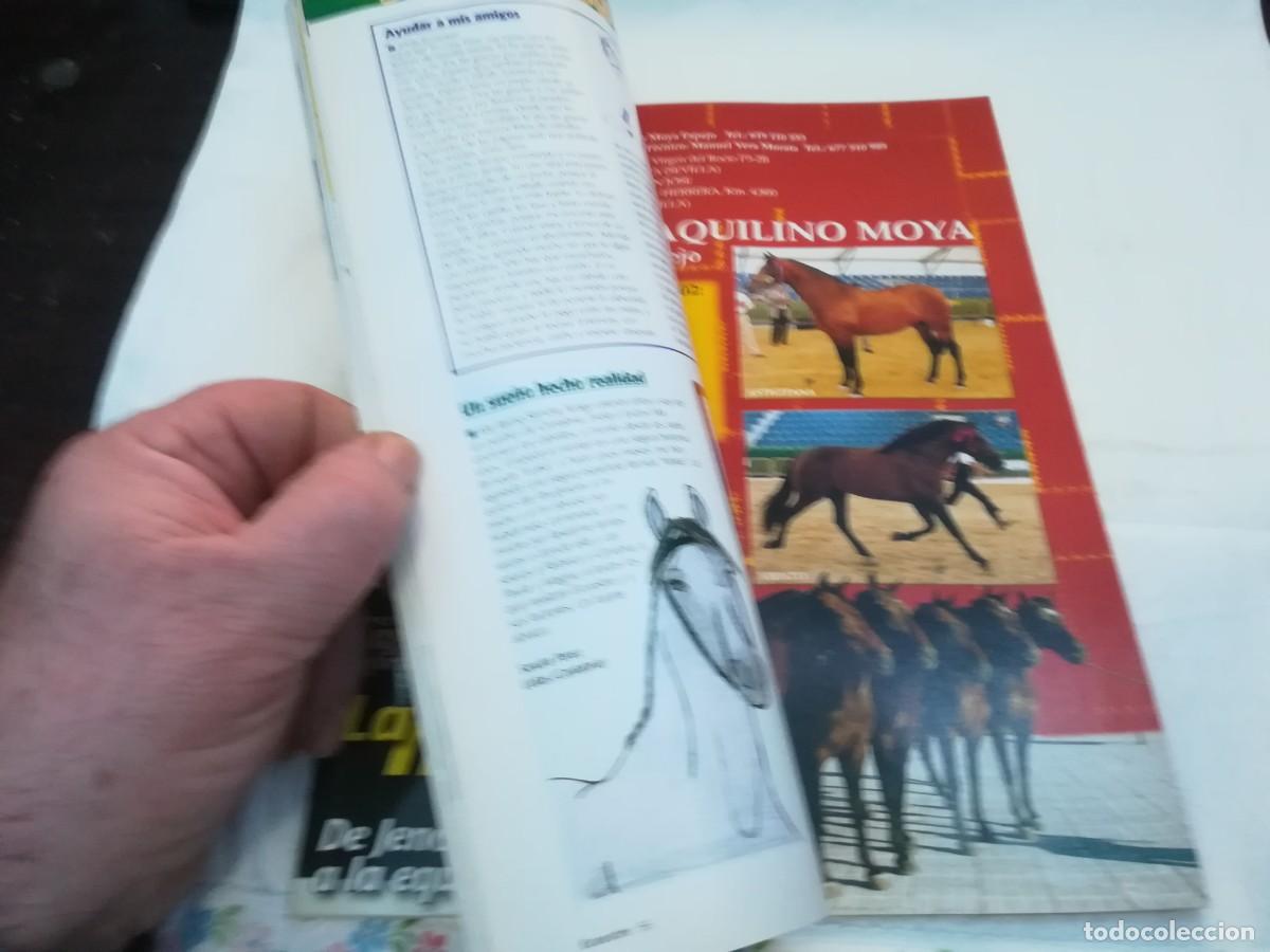 Libros de segunda mano: ECUESTRE / R006 / 238 DE 2002 / LA MONTA A PELO - Foto 8