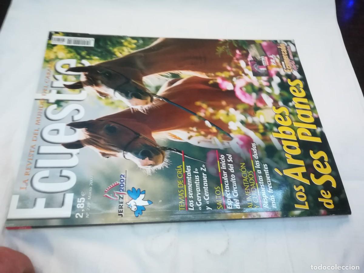 Libros de segunda mano: ECUESTRE / R006 / 229 DE 2002 / LOS ARABES DE SES PLANES - Foto 1