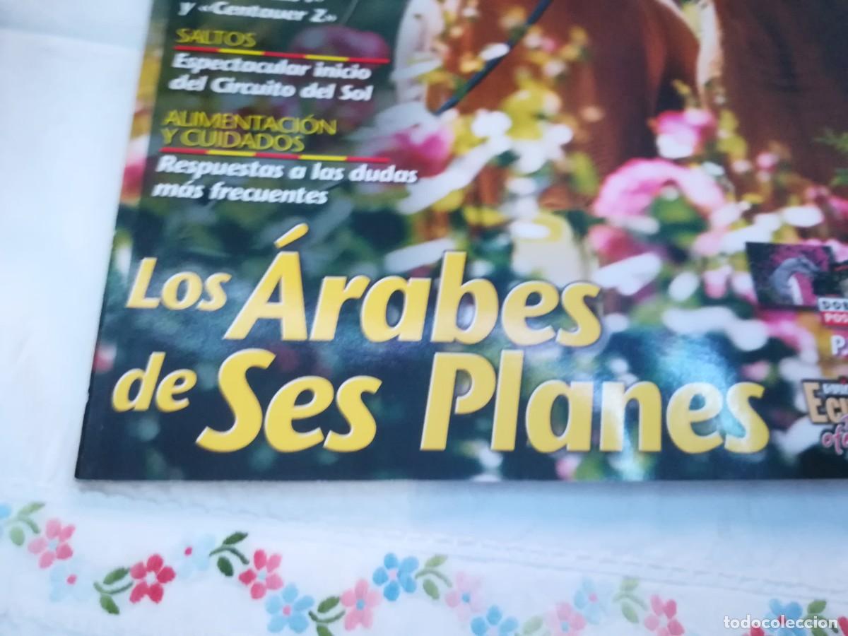 Libros de segunda mano: ECUESTRE / R006 / 229 DE 2002 / LOS ARABES DE SES PLANES - Foto 2
