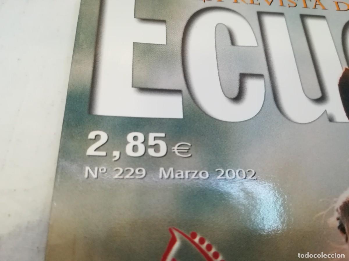 Libros de segunda mano: ECUESTRE / R006 / 229 DE 2002 / LOS ARABES DE SES PLANES - Foto 3