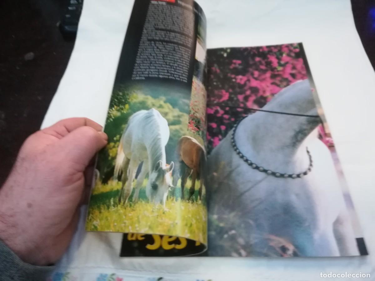 Libros de segunda mano: ECUESTRE / R006 / 229 DE 2002 / LOS ARABES DE SES PLANES - Foto 8