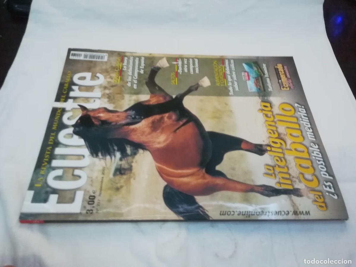 Libros de segunda mano: ECUESTRE / R006 / 237 DE 2002 / LA INTELIGENCIA DEL CABALLO - Foto 1