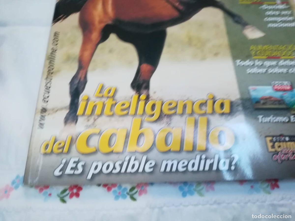 Libros de segunda mano: ECUESTRE / R006 / 237 DE 2002 / LA INTELIGENCIA DEL CABALLO - Foto 3