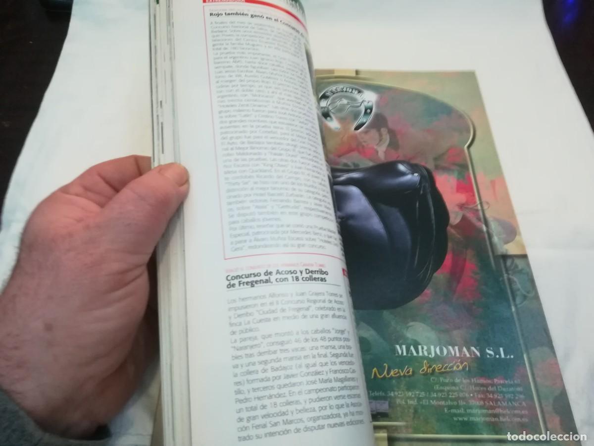 Libros de segunda mano: ECUESTRE / R006 / 237 DE 2002 / LA INTELIGENCIA DEL CABALLO - Foto 5