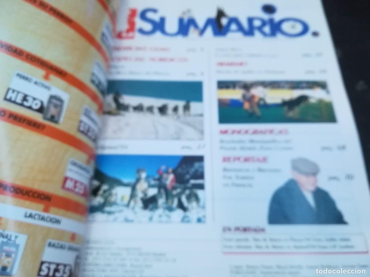 Libros de segunda mano: GUAU, LA REVISTA DEL PERRO / Y206B / 62 - Foto 3
