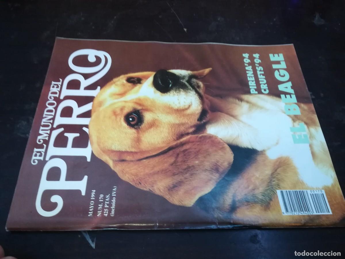 Libros de segunda mano: EL MUNDO DEL PERRO / Y206B / 170 DE 1994 / BEAGLE - Foto 1