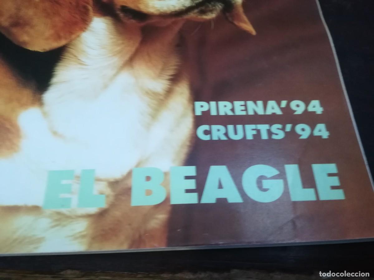 Libros de segunda mano: EL MUNDO DEL PERRO / Y206B / 170 DE 1994 / BEAGLE - Foto 3