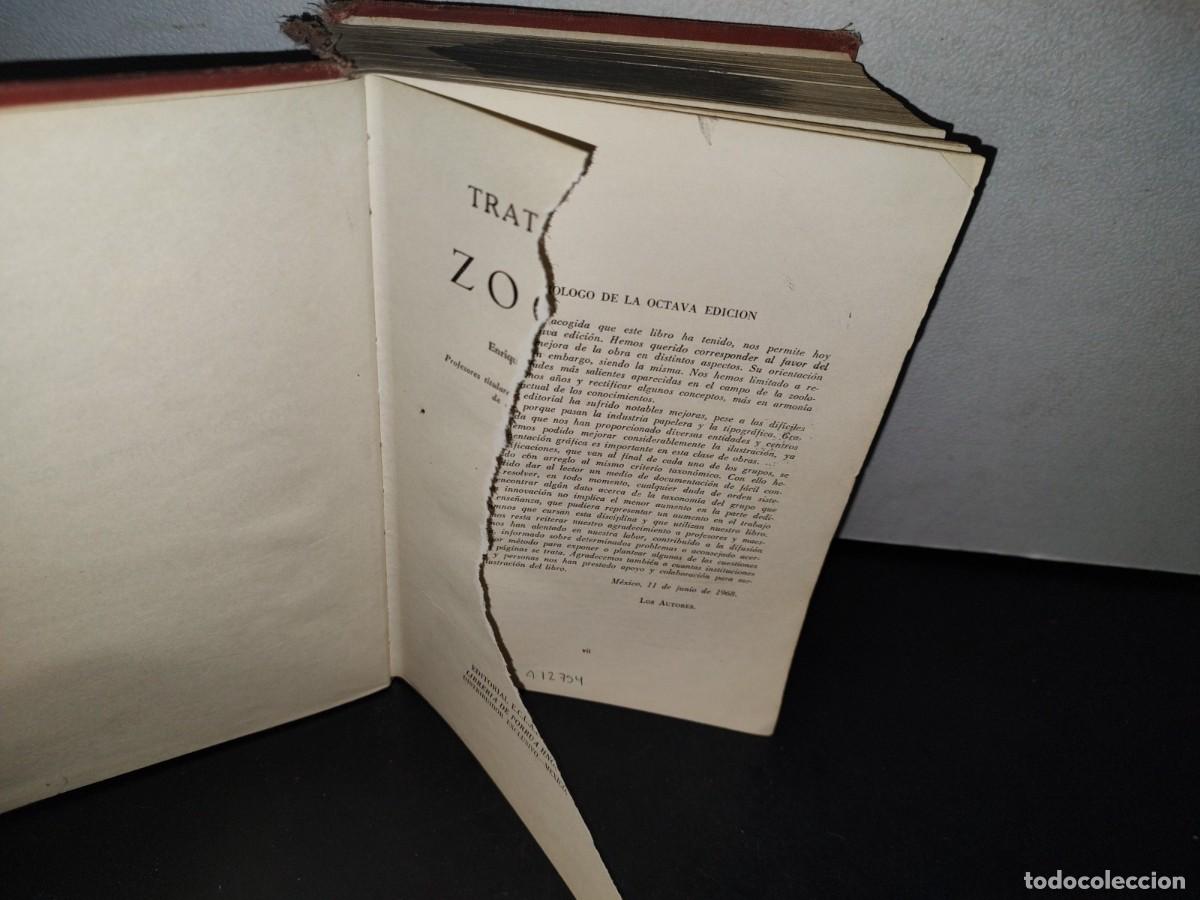 Libros de segunda mano: 56- TRATADO DE ZOOLOG&Iacute;A. EDITORIAL ECLALSA - 1968 - Foto 4