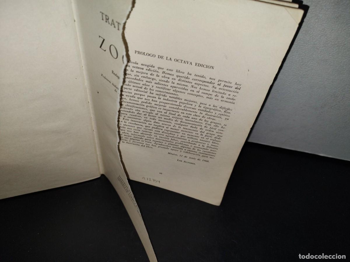 Libros de segunda mano: 56- TRATADO DE ZOOLOG&Iacute;A. EDITORIAL ECLALSA - 1968 - Foto 5