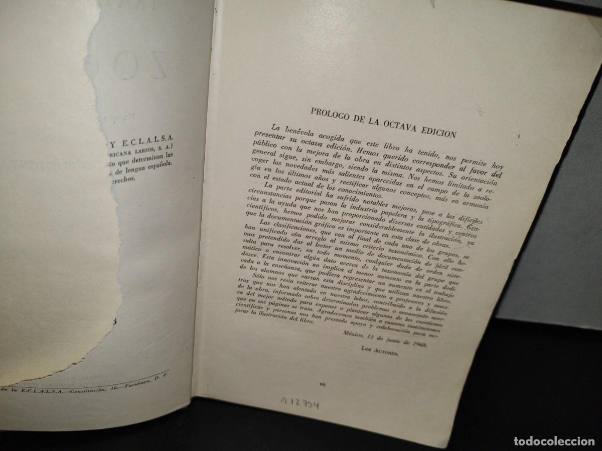 Libros de segunda mano: 56- TRATADO DE ZOOLOG&Iacute;A. EDITORIAL ECLALSA - 1968 - Foto 6