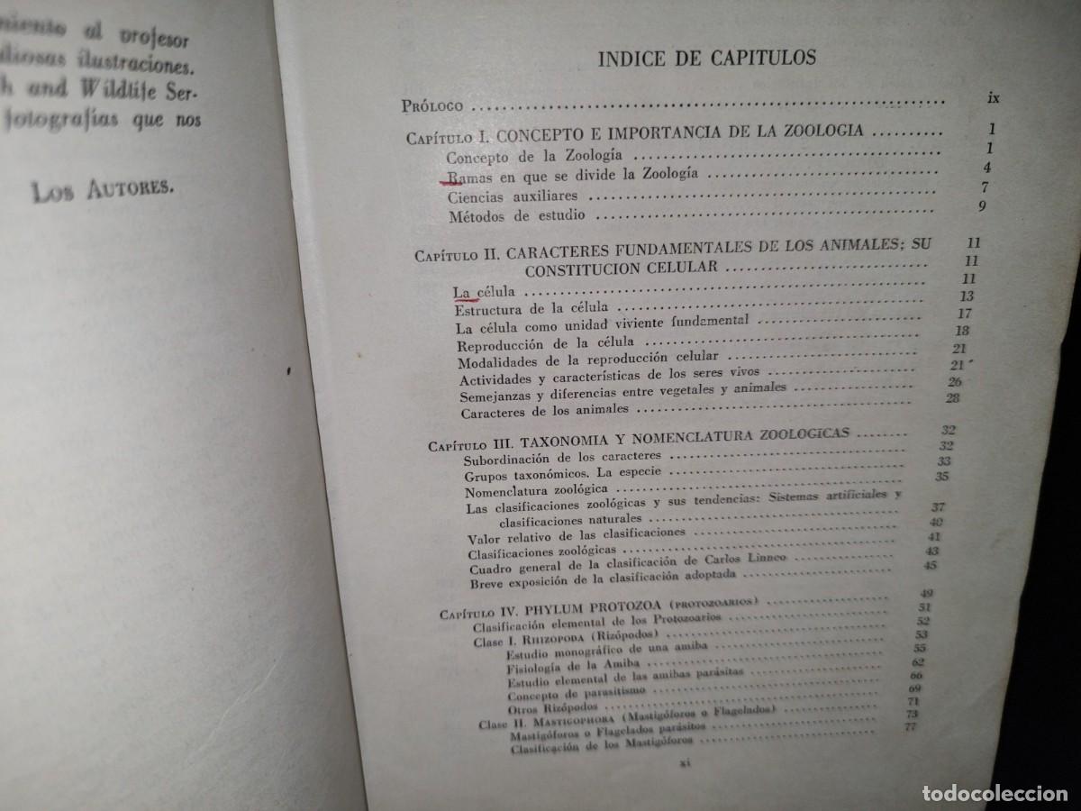 Libros de segunda mano: 56- TRATADO DE ZOOLOG&Iacute;A. EDITORIAL ECLALSA - 1968 - Foto 8