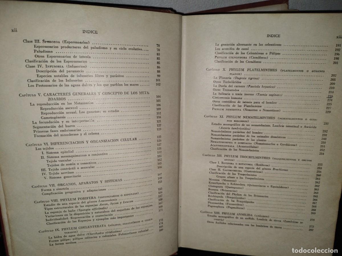 Libros de segunda mano: 56- TRATADO DE ZOOLOG&Iacute;A. EDITORIAL ECLALSA - 1968 - Foto 9