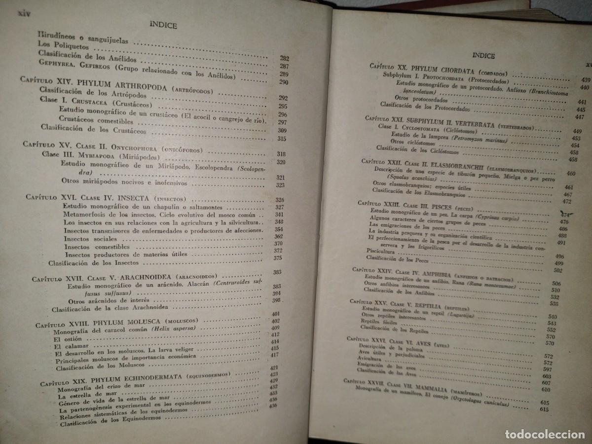 Libros de segunda mano: 56- TRATADO DE ZOOLOG&Iacute;A. EDITORIAL ECLALSA - 1968 - Foto 10