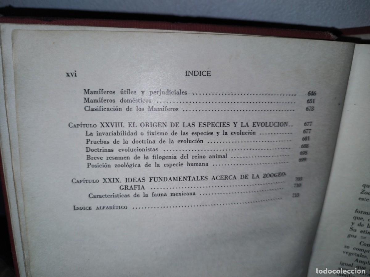 Libros de segunda mano: 56- TRATADO DE ZOOLOG&Iacute;A. EDITORIAL ECLALSA - 1968 - Foto 11