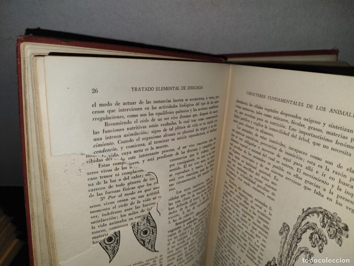 Libros de segunda mano: 56- TRATADO DE ZOOLOG&Iacute;A. EDITORIAL ECLALSA - 1968 - Foto 14
