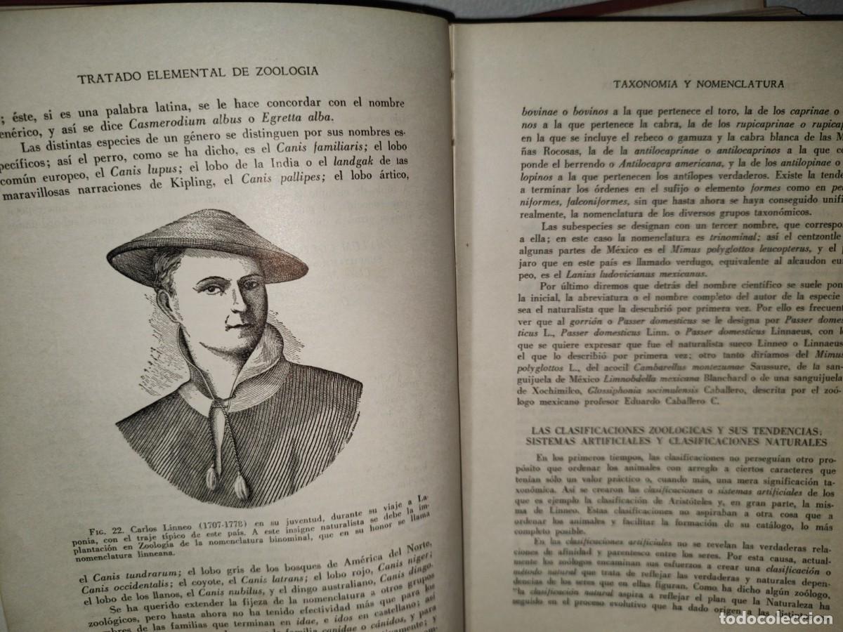 Libros de segunda mano: 56- TRATADO DE ZOOLOG&Iacute;A. EDITORIAL ECLALSA - 1968 - Foto 15