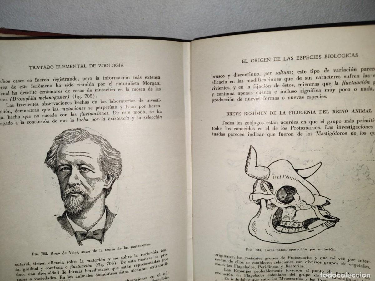 Libros de segunda mano: 56- TRATADO DE ZOOLOG&Iacute;A. EDITORIAL ECLALSA - 1968 - Foto 27
