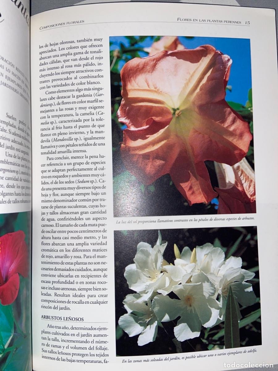 Libros de segunda mano: COMPOSICIONES FLORALES. GU&Iacute;A PR&Aacute;CTICA DE LA FLORACI&Oacute;N. LIBSA, MADRID. 1999 - Foto 3