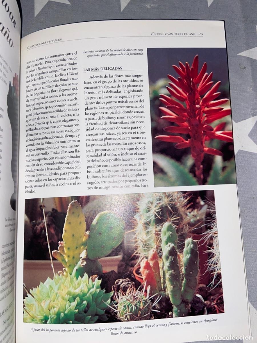 Libros de segunda mano: COMPOSICIONES FLORALES. GU&Iacute;A PR&Aacute;CTICA DE LA FLORACI&Oacute;N. LIBSA, MADRID. 1999 - Foto 4