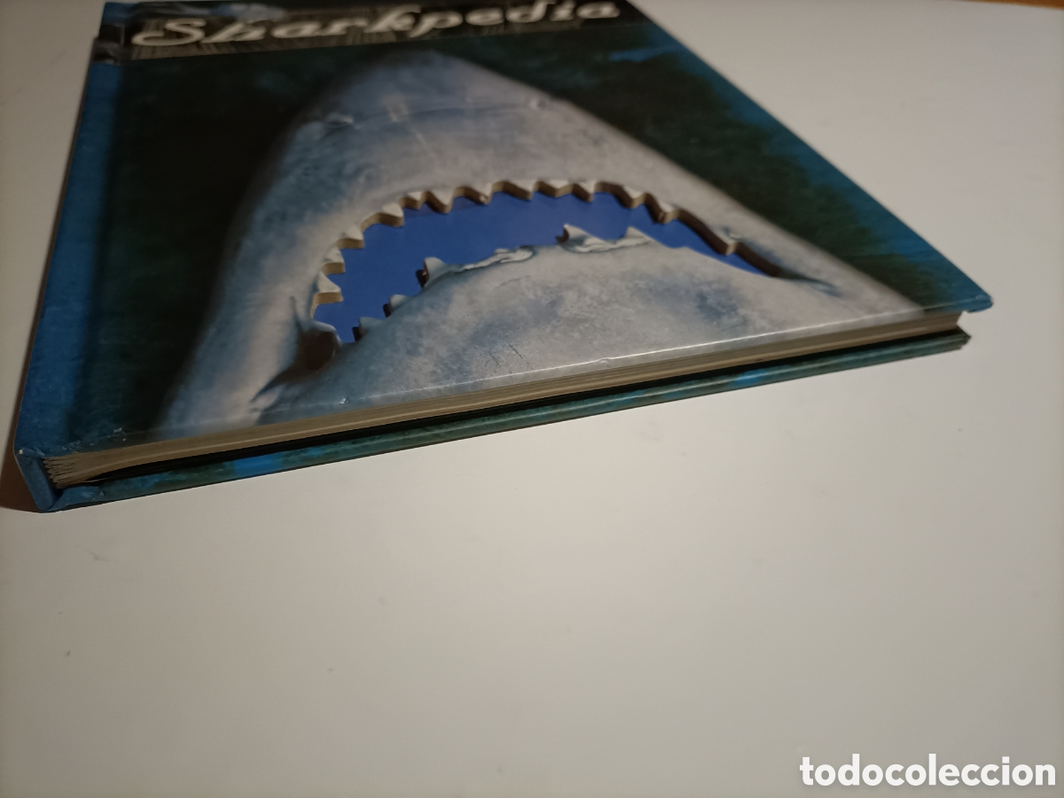 Libros de segunda mano: Sharkpedia . Libro texto en ingl&eacute;s tiburones - Foto 3
