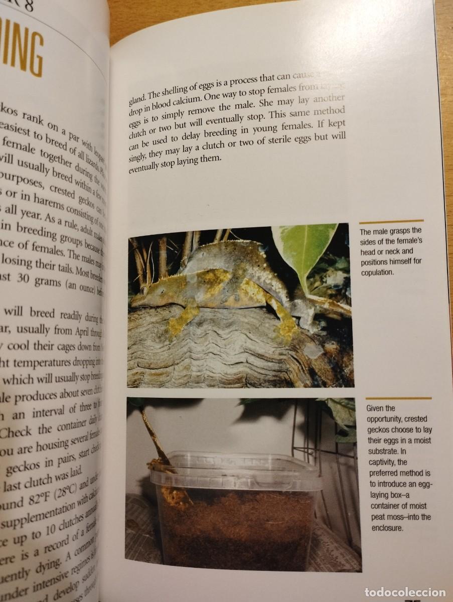 Libros de segunda mano: CRESTED GECKOS. FROM THE EXPERTS AT ADVANCED VIVARIUM SYSTEMS (PHILIPPE DE VOSJOLI) - Foto 7