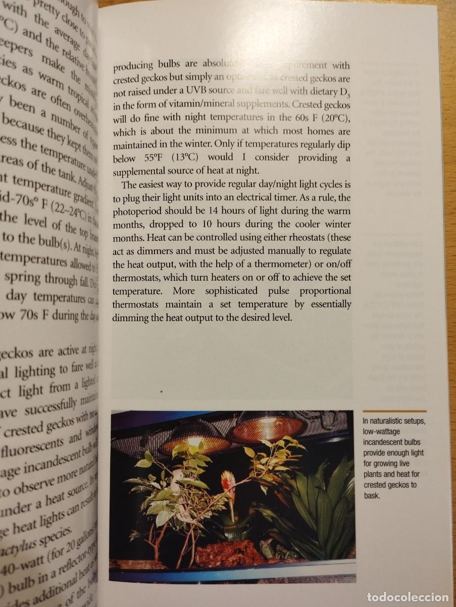Libros de segunda mano: CRESTED GECKOS. FROM THE EXPERTS AT ADVANCED VIVARIUM SYSTEMS (PHILIPPE DE VOSJOLI) - Foto 9