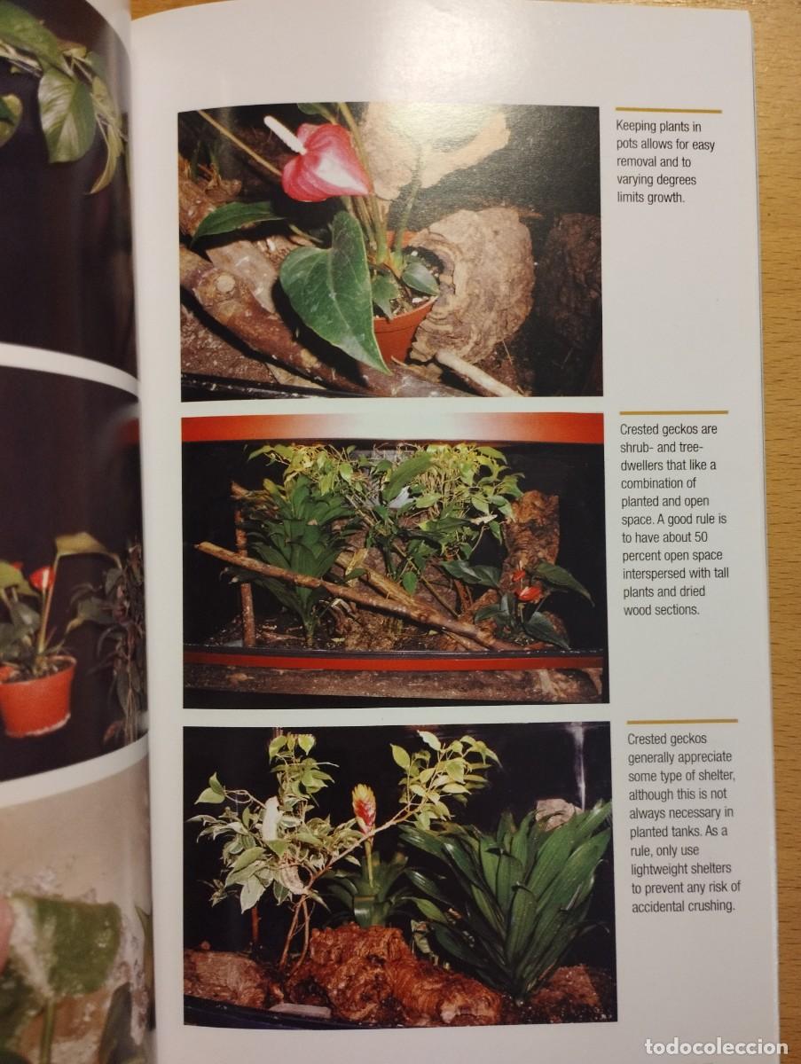 Libros de segunda mano: CRESTED GECKOS. FROM THE EXPERTS AT ADVANCED VIVARIUM SYSTEMS (PHILIPPE DE VOSJOLI) - Foto 10