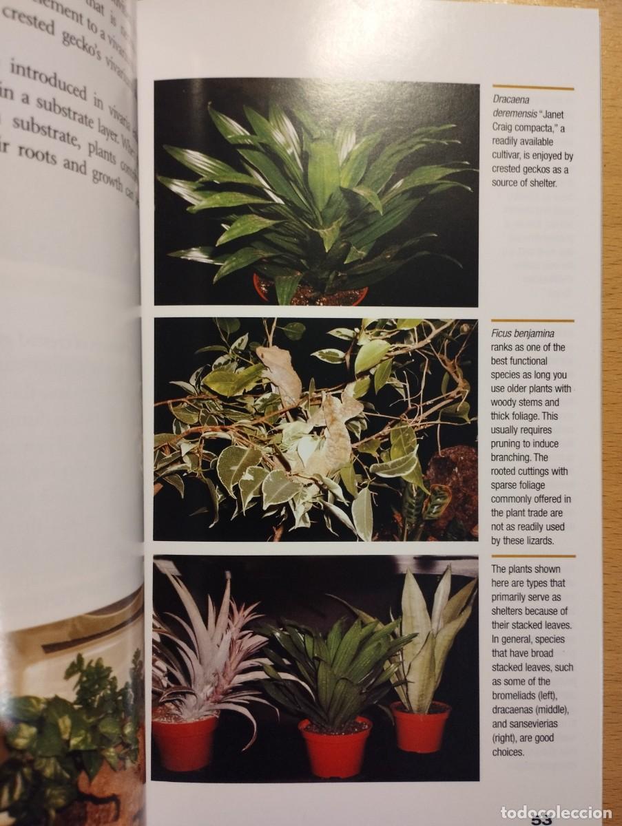 Libros de segunda mano: CRESTED GECKOS. FROM THE EXPERTS AT ADVANCED VIVARIUM SYSTEMS (PHILIPPE DE VOSJOLI) - Foto 11